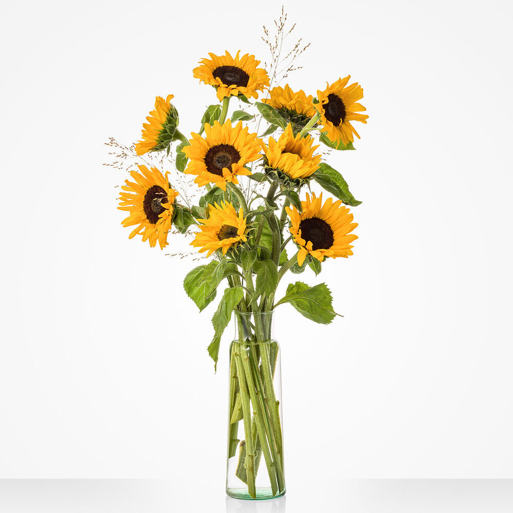 Sunflowers per stem